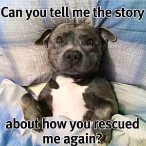 Meet your Posher, Jan